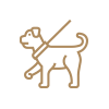 Dog Park